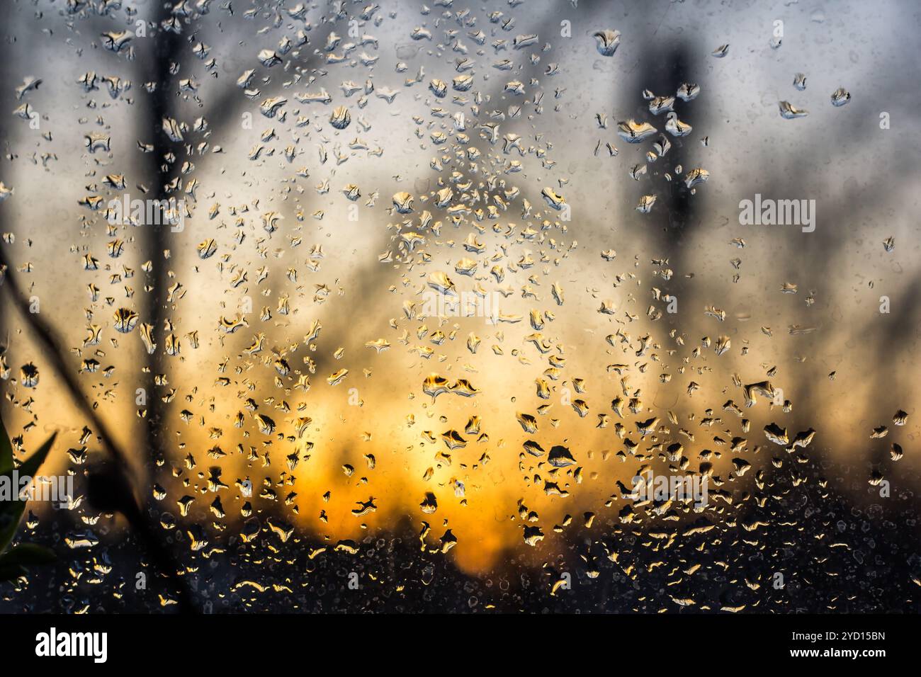 Sun through window rain drops hi-res stock photography and images - Alamy