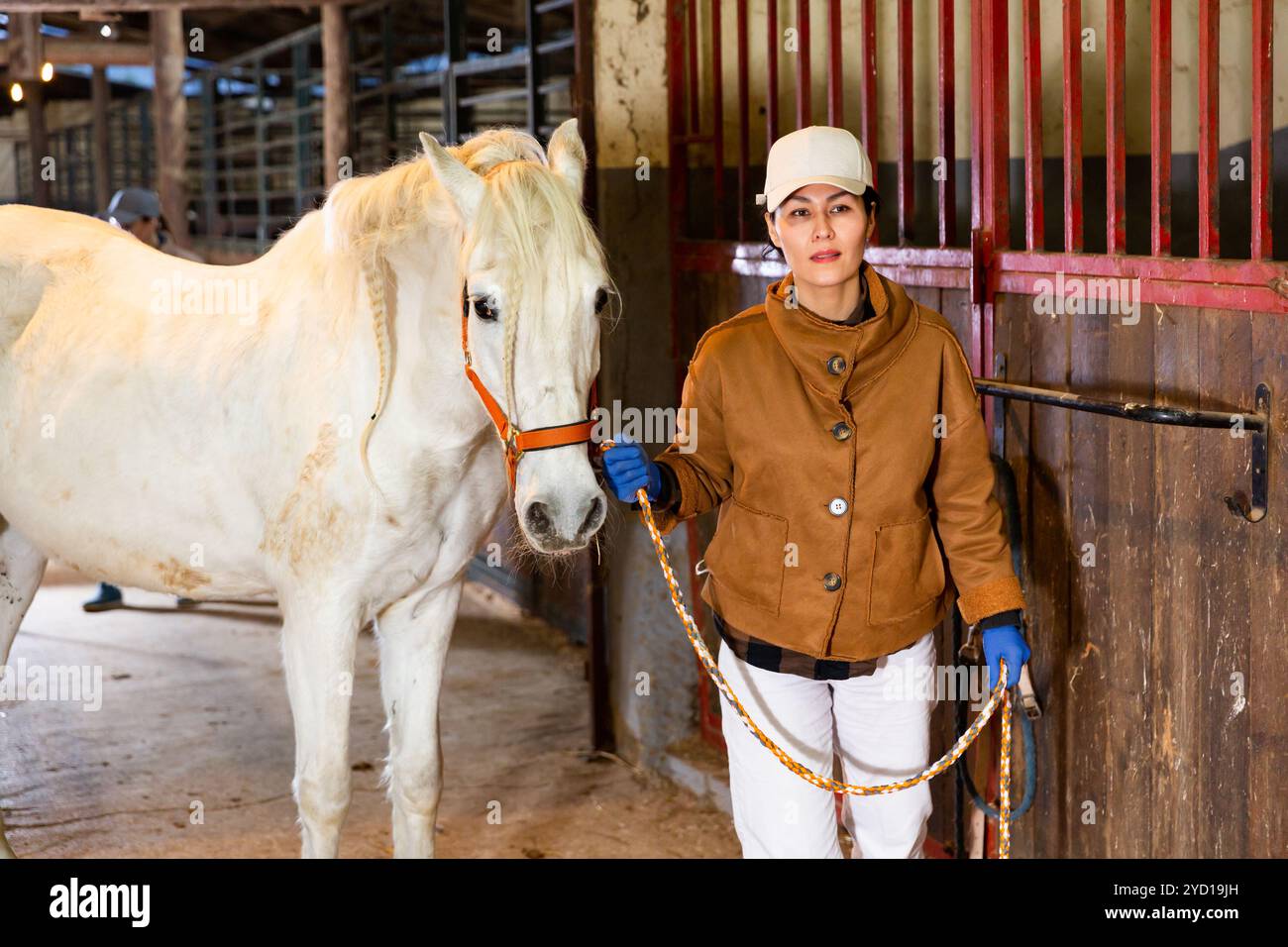 Female stable worker leads a white horse out of stall Stock Photo - Alamy
