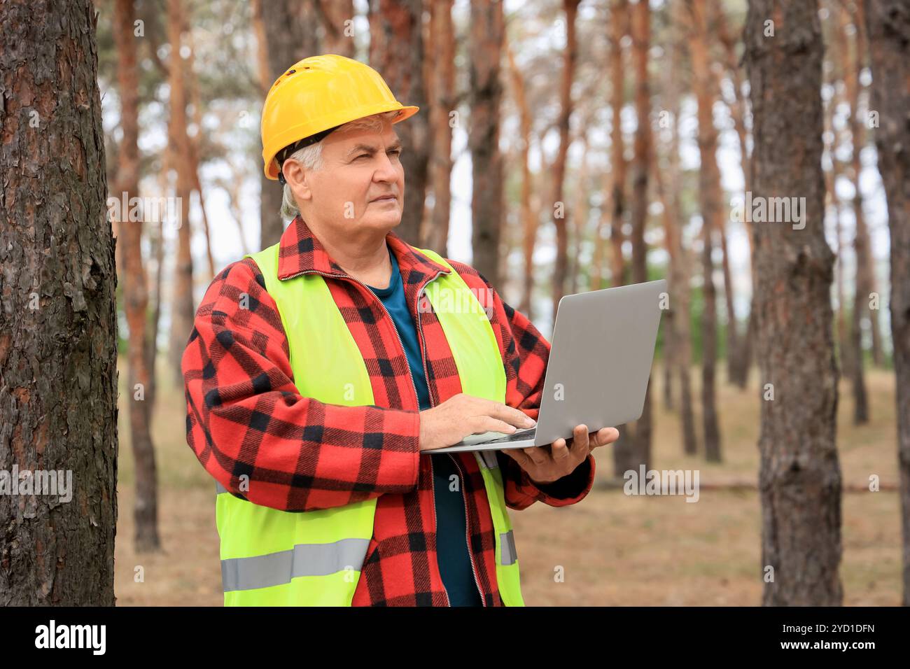 Senior forester using laptop in forest Stock Photo