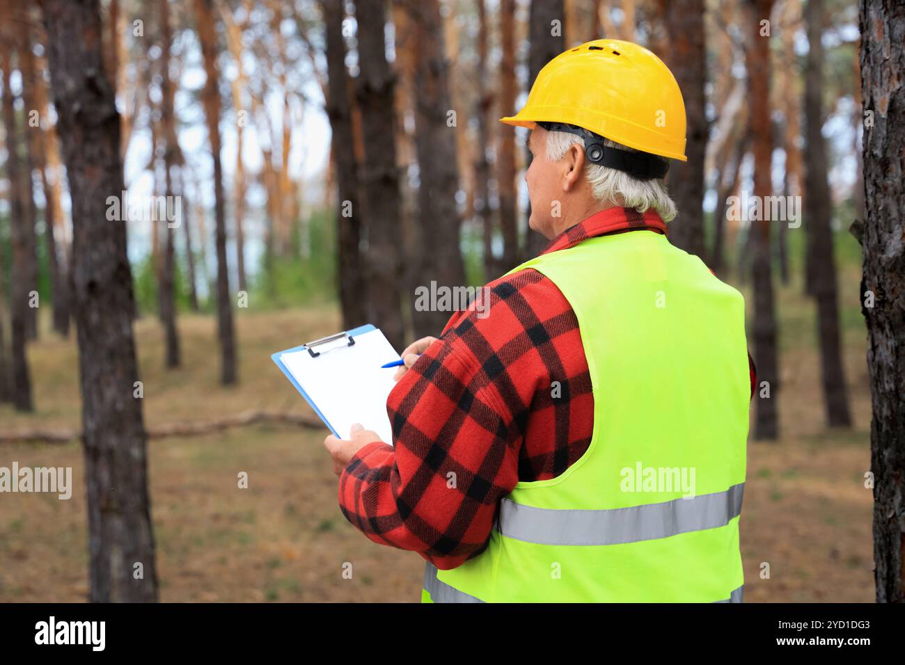 Senior forester taking notes on clipboard in forest, back view Stock Photo
