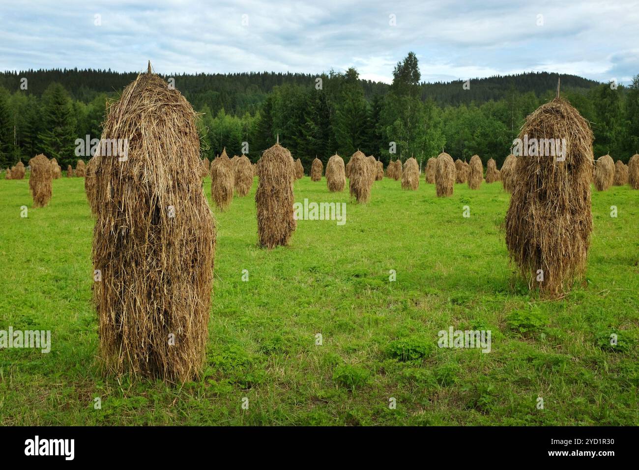 Tall haystacks hi-res stock photography and images - Alamy