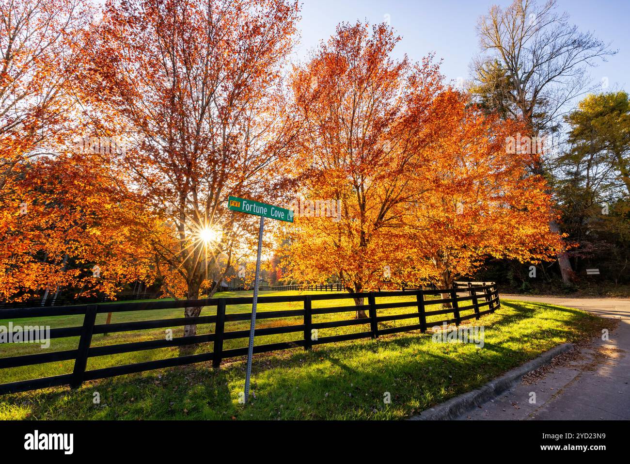 fortune-cove-lane-hi-res-stock-photography-and-images-alamy
