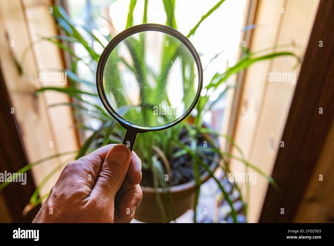 Indoor damp and air quality or IAQ testing. Stock Photo