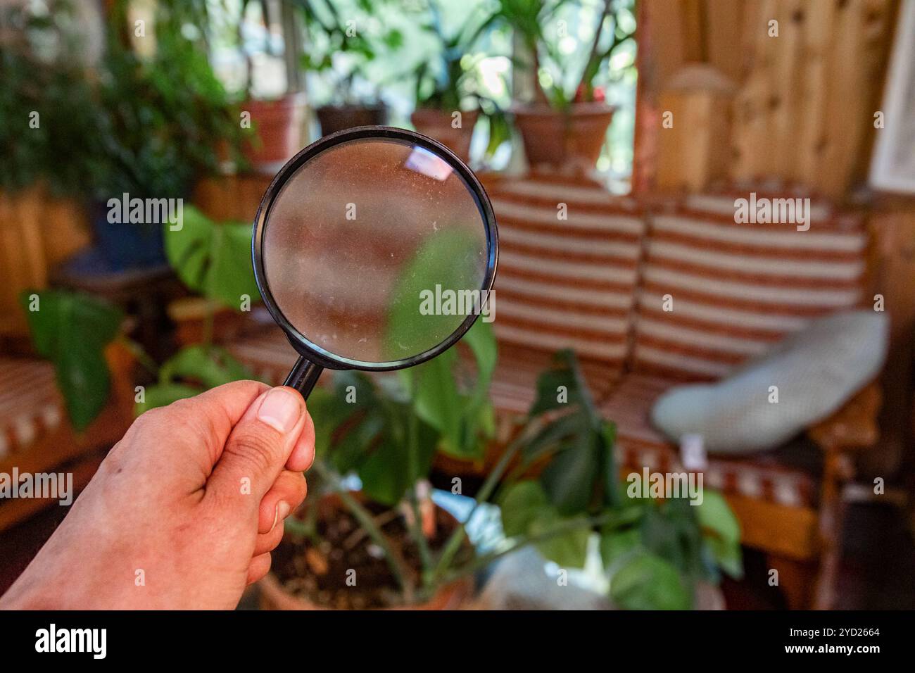 Indoor damp and air quality or IAQ testing. Stock Photo