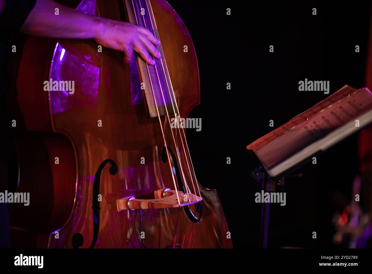 Large musical instrument hi-res stock photography and images - Alamy