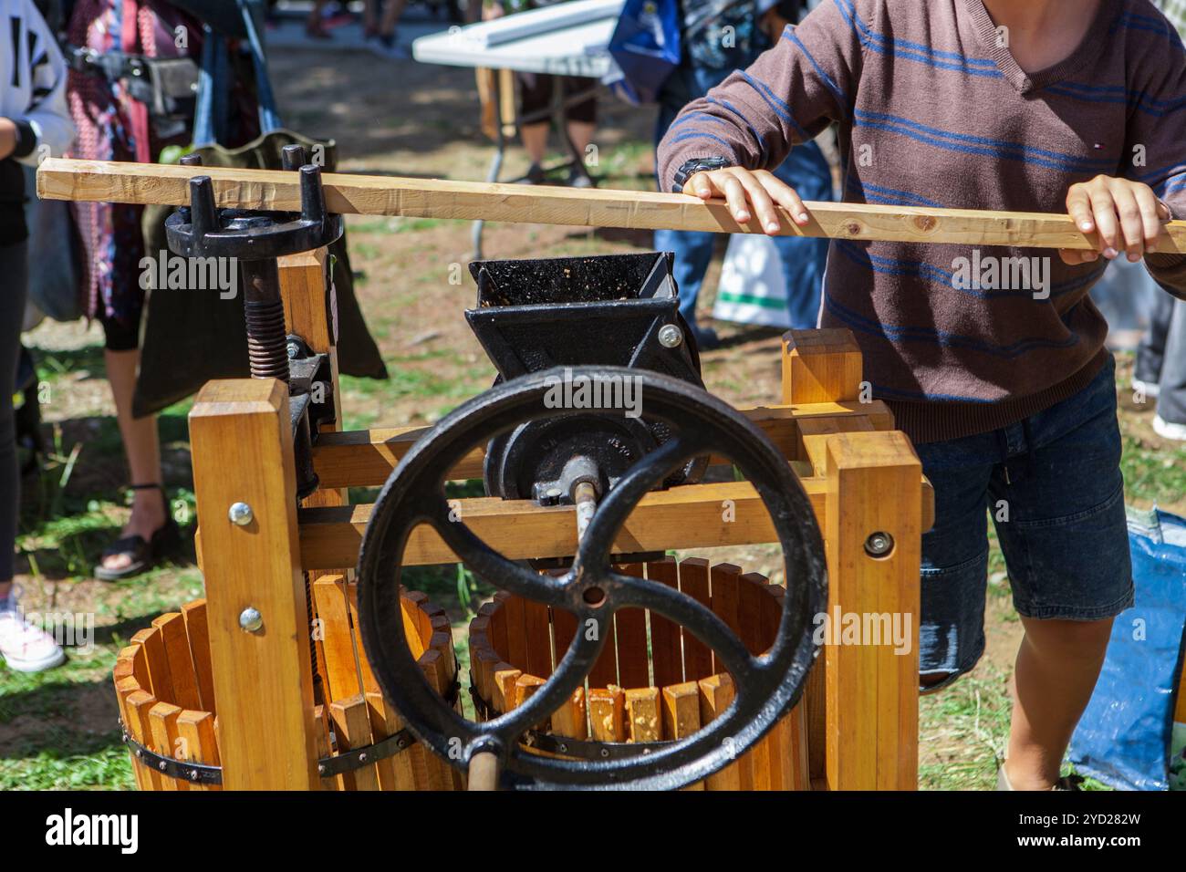 Young man is making apple juice using the big lever of an apple press Stock Photo