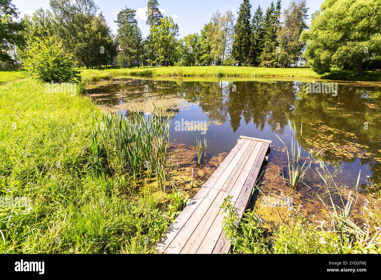Small scenic pond trees hi-res stock photography and images - Alamy