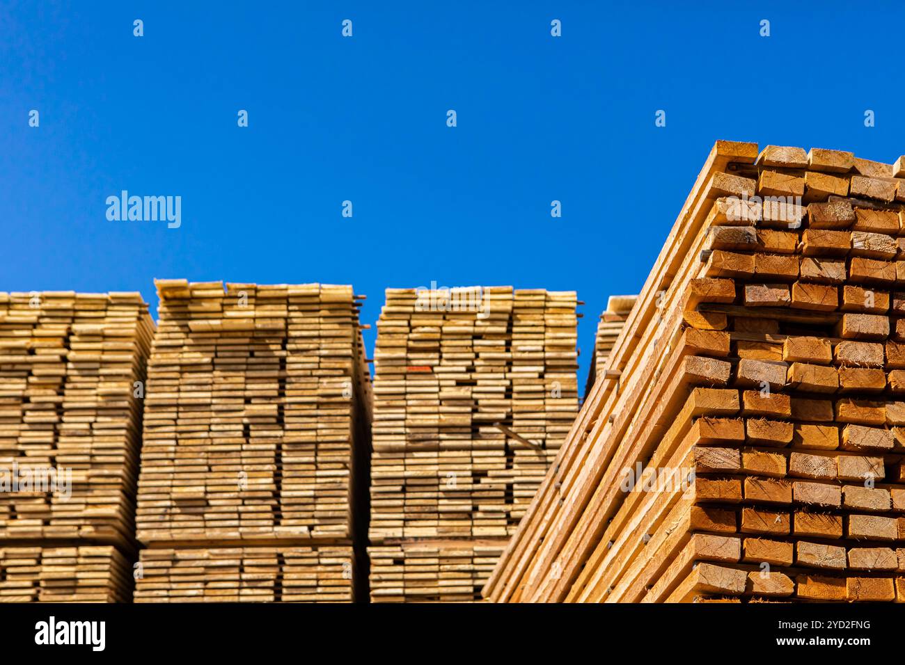 Pine lumber stacked in hi-res stock photography and images - Alamy
