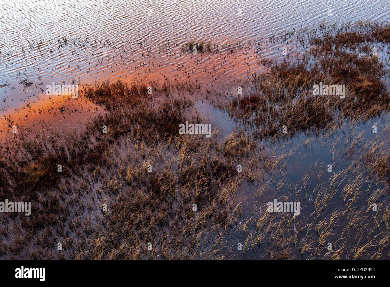 Aerial top down drone close hi-res stock photography and images - Alamy
