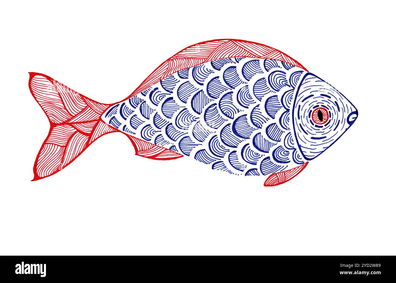 Red Fish Contour Stylized illustration of fish. Red and blue colors. Doodle. Drawing ...