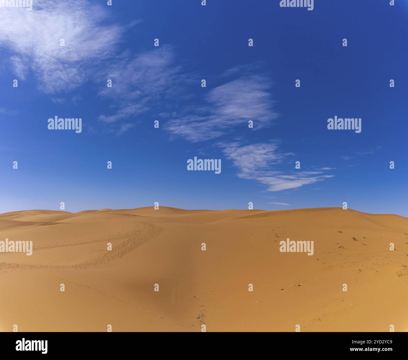 Sand dune landscape in the Sahara Desert of Africa under a blue sky ...