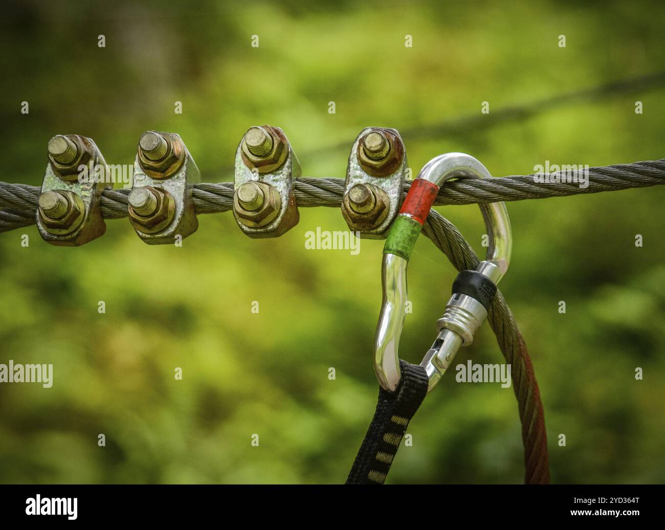 Climbing Sports Image Of A Carabiner On A Metal Rope In A Forest Stock ...