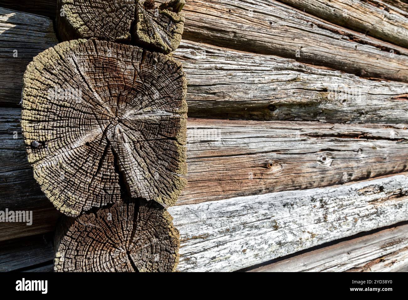 Old rough wooden logs with cracks as background Stock Photo