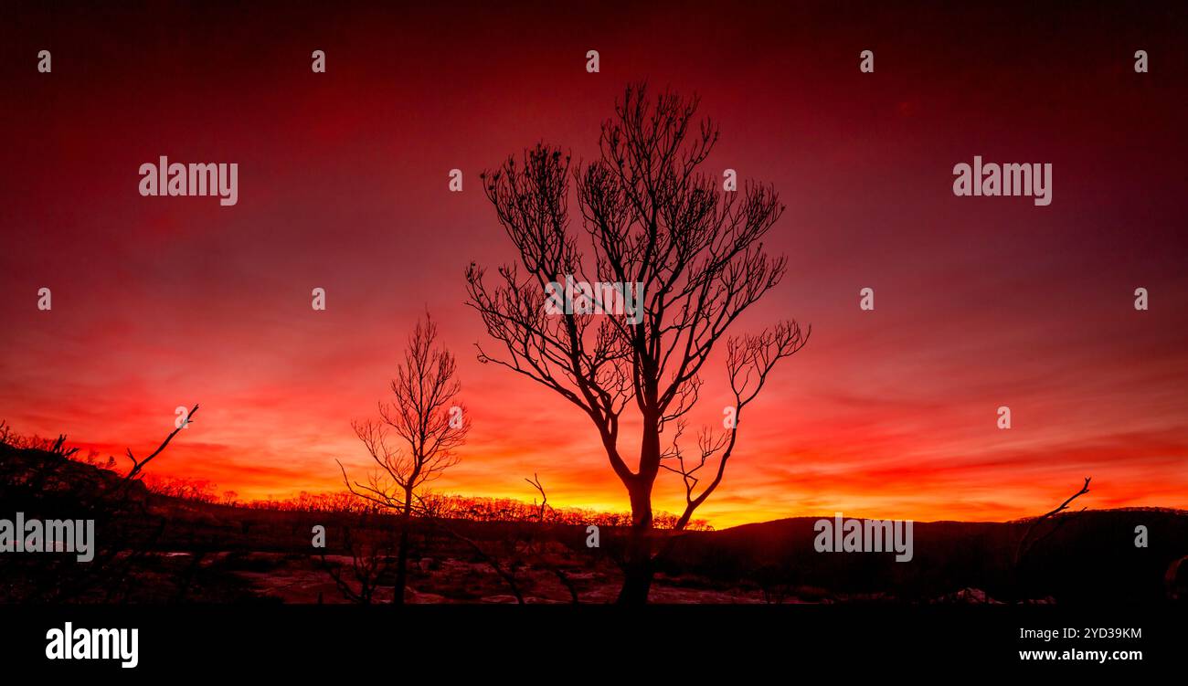 Burnt orange colour hi-res stock photography and images - Alamy