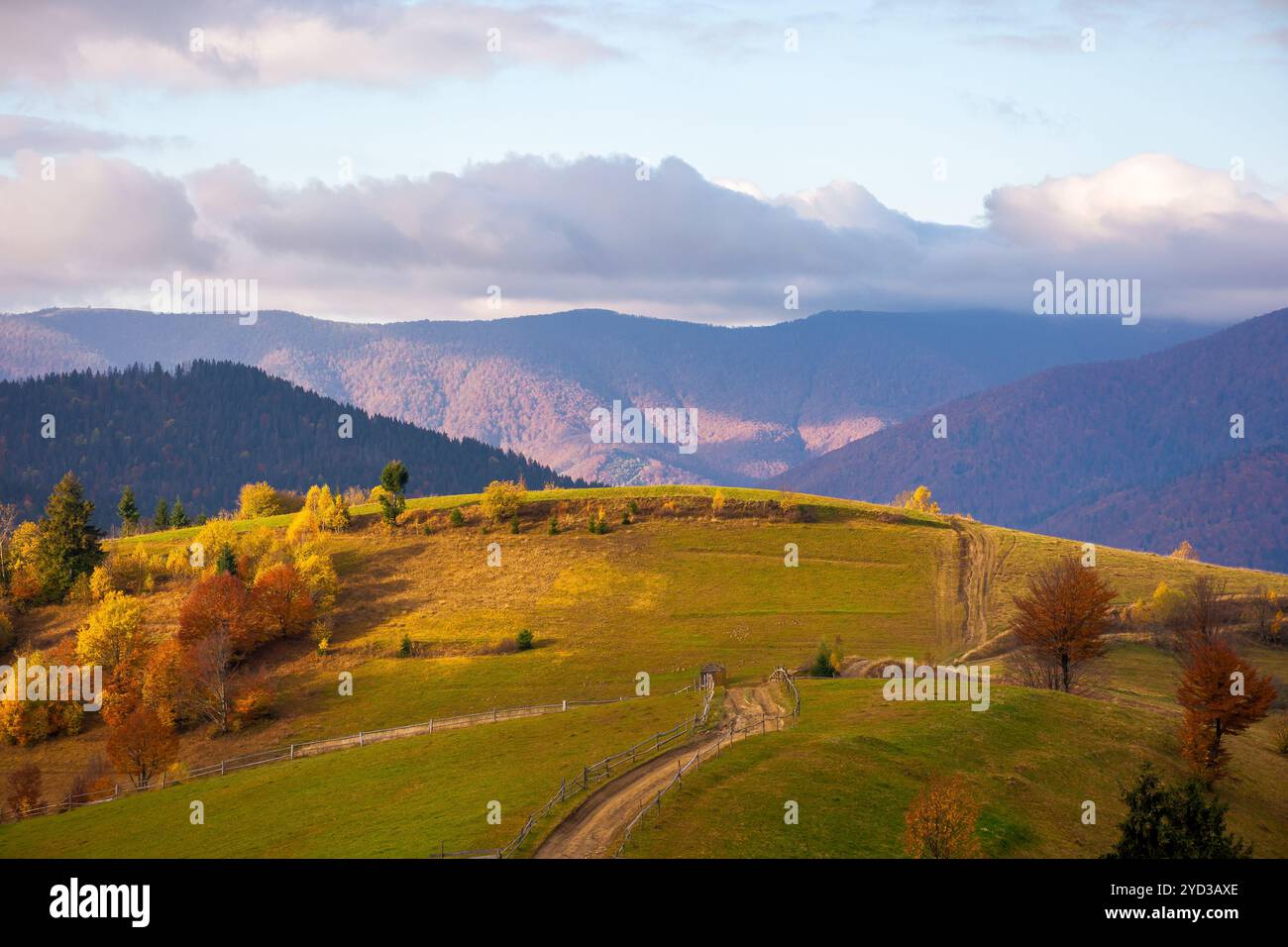 Colorful Rural Scenes mountainous rural landscape in autumn. beautiful view. sunny weather ...