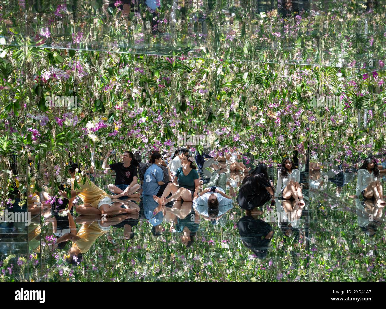 Teamlab Installation Futuristic art installation hi-res stock photography and images - Alamy