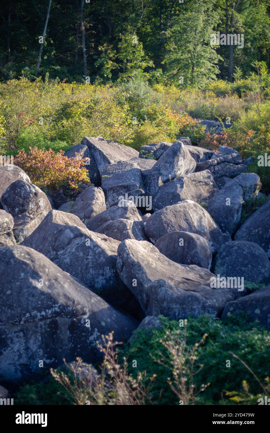 Boulders in a ravine in front of trees at sunset Stock Photo