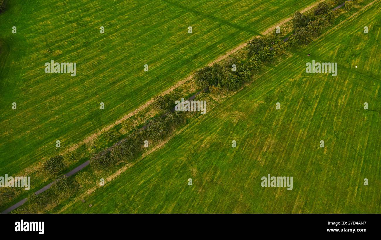 Aerial View of Lush Green Fields with Path and Trees Stock Photo - Alamy