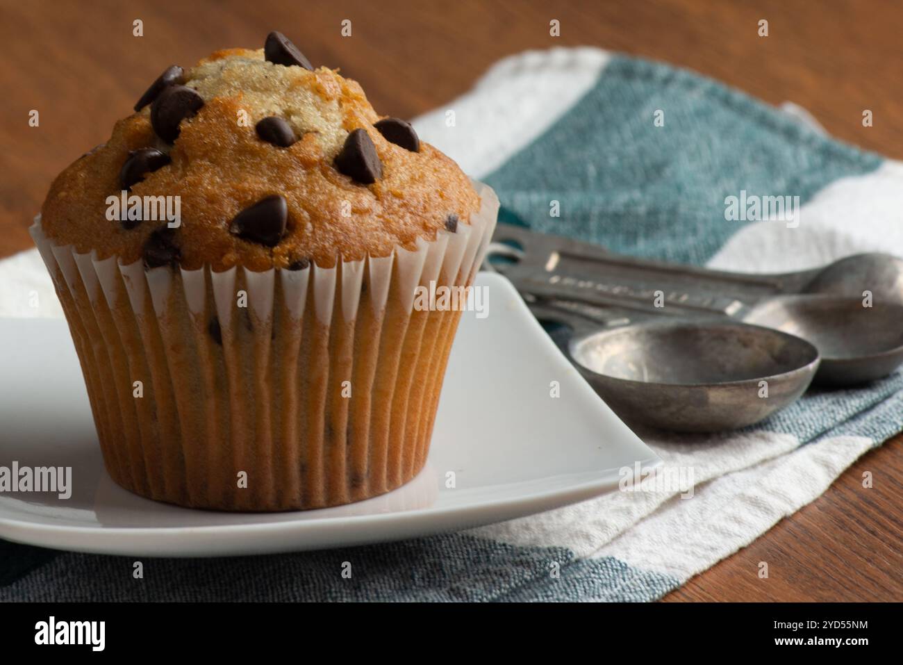 Chocolate chip muffin Stock Photo