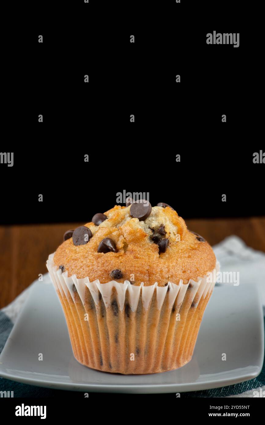 Chocolate chip muffin Stock Photo