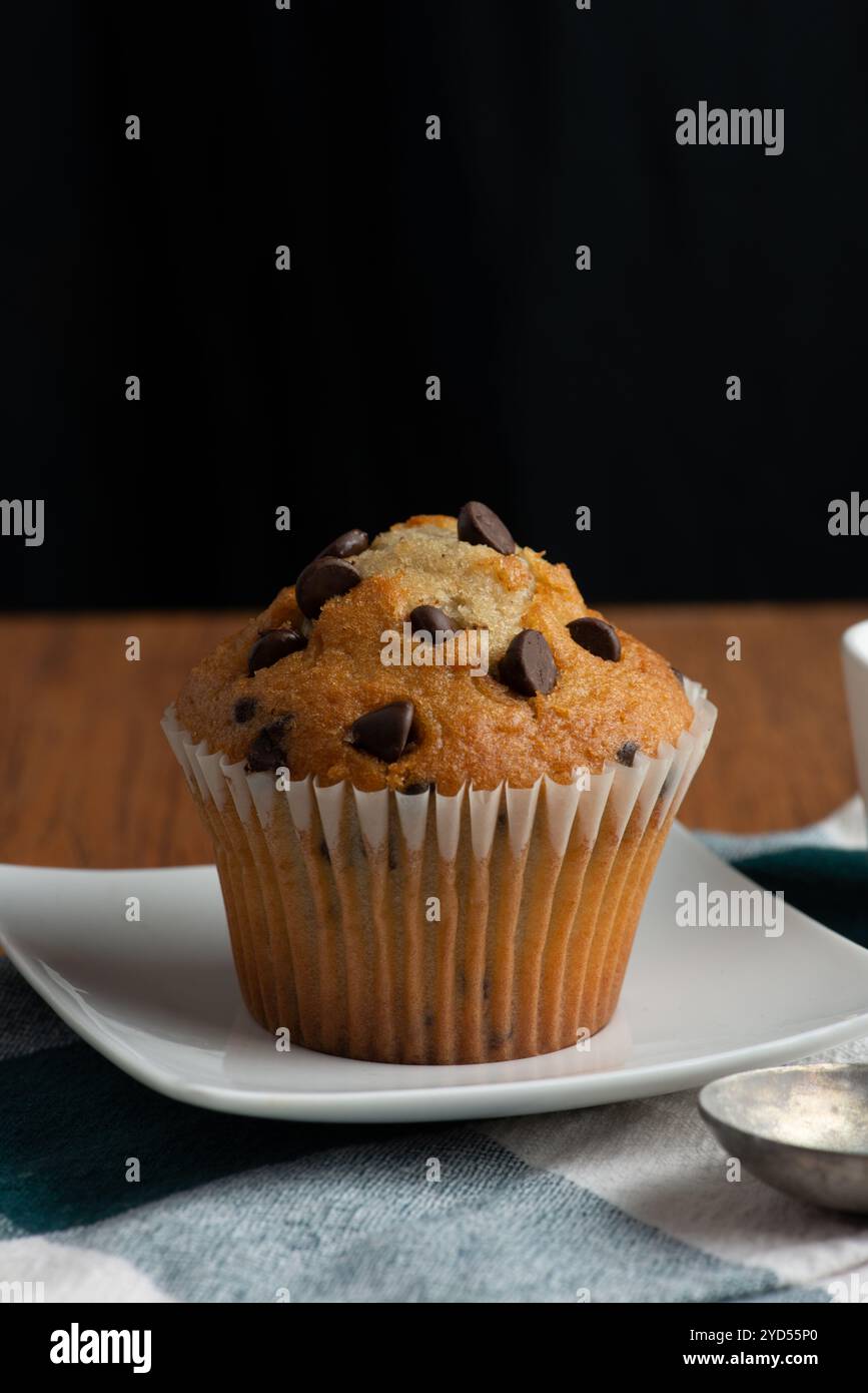 Chocolate chip muffin Stock Photo