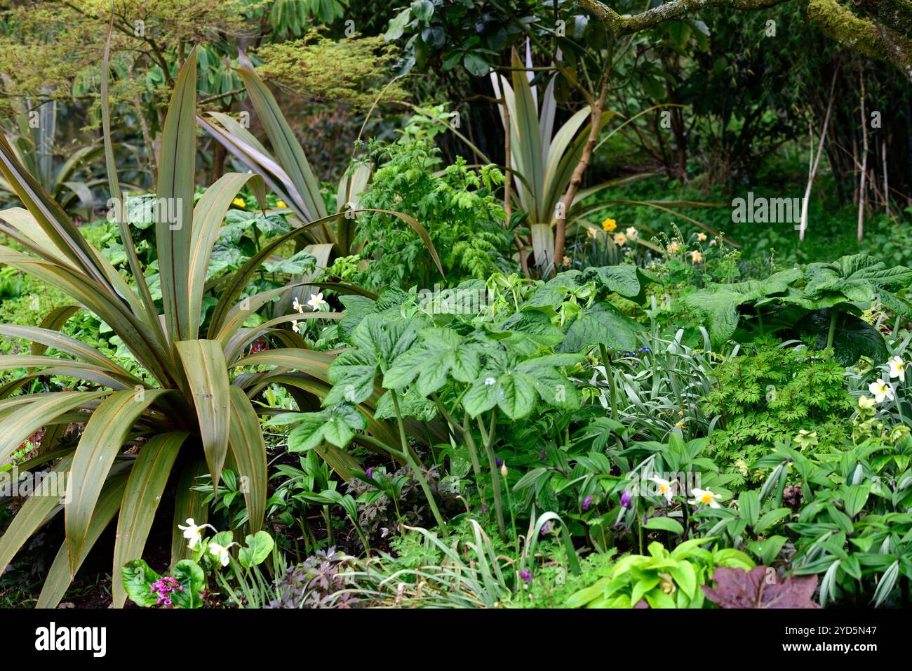 Mixed woodland border hi-res stock photography and images - Alamy