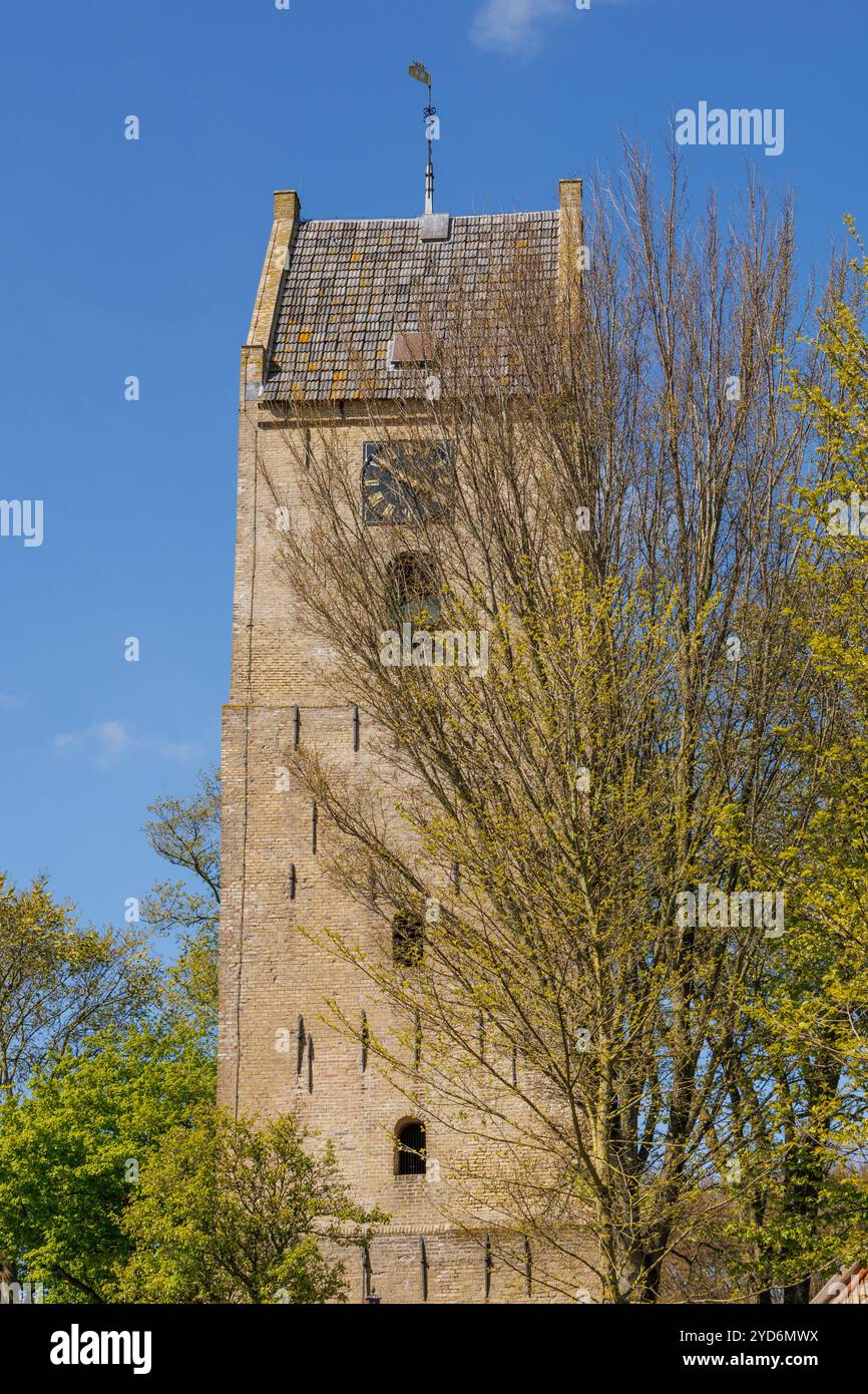 Ameland island in the netherlands Stock Photo