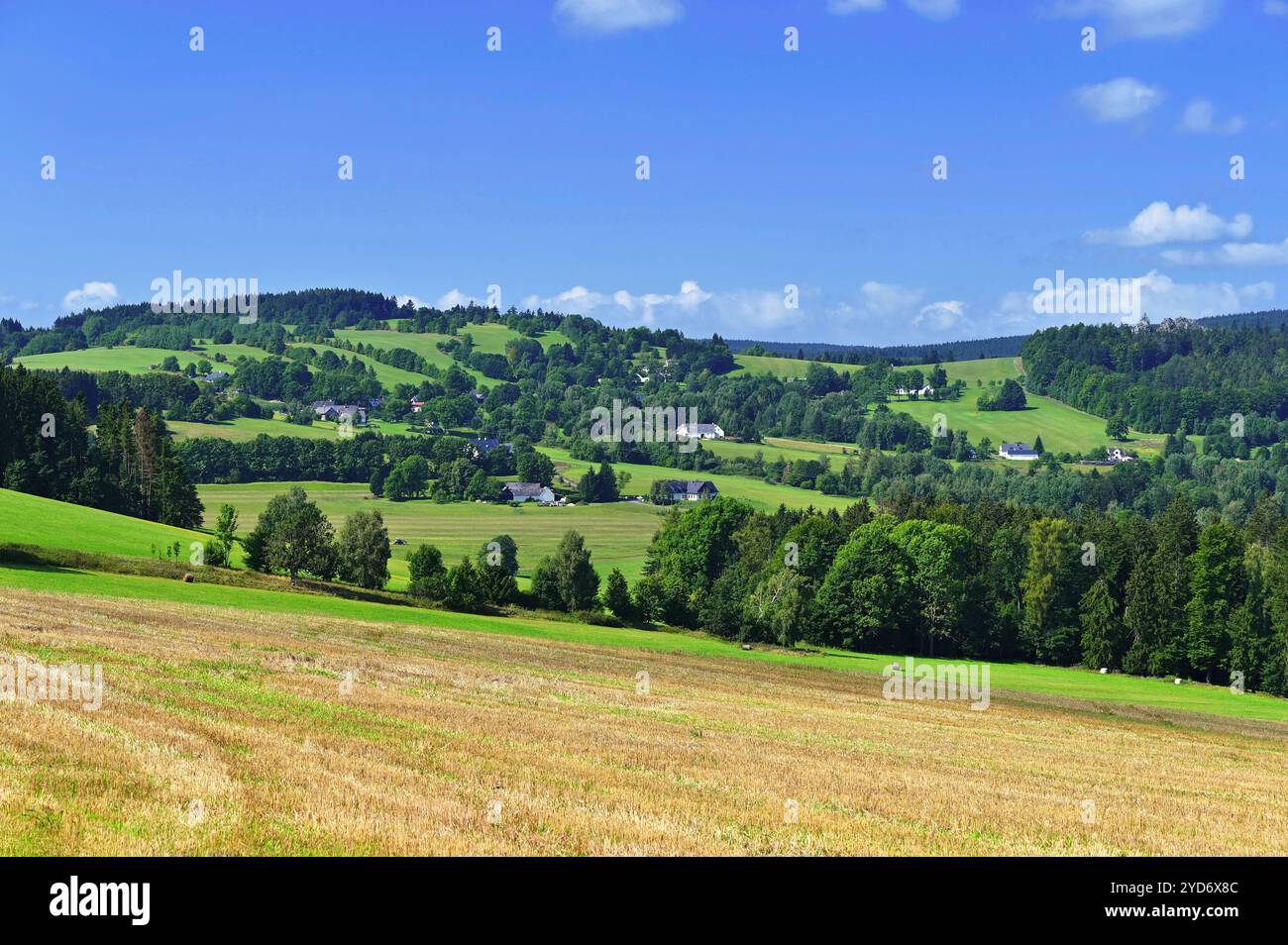 Beautiful summer meadow nature hi-res stock photography and images - Alamy
