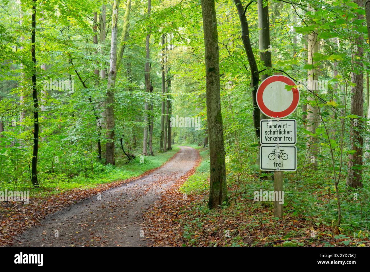 Forest path with prohibition sign Stock Photo - Alamy