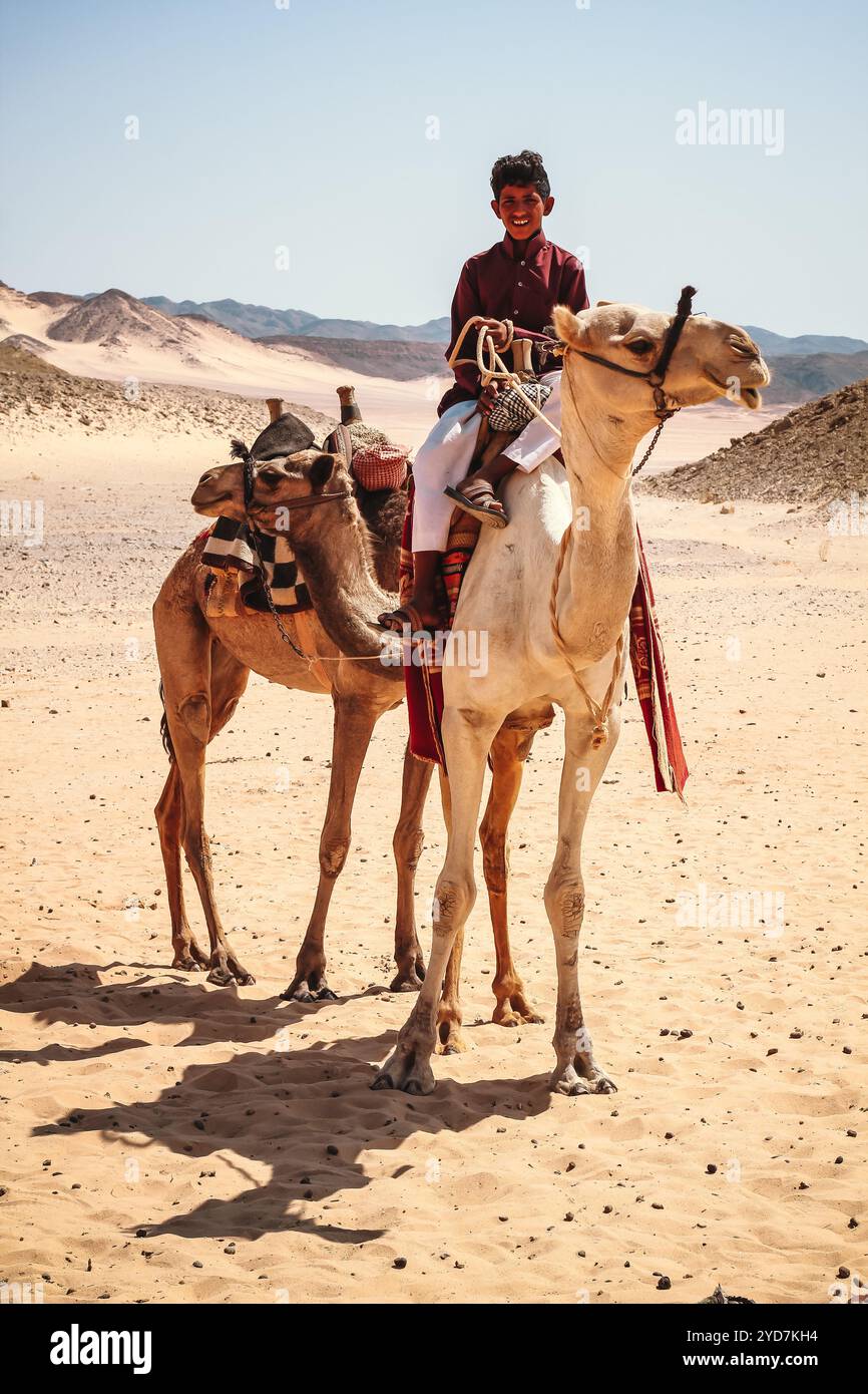 A boy is riding a camel in the desert. The camel is white and has a red band around its neck Stock Photo