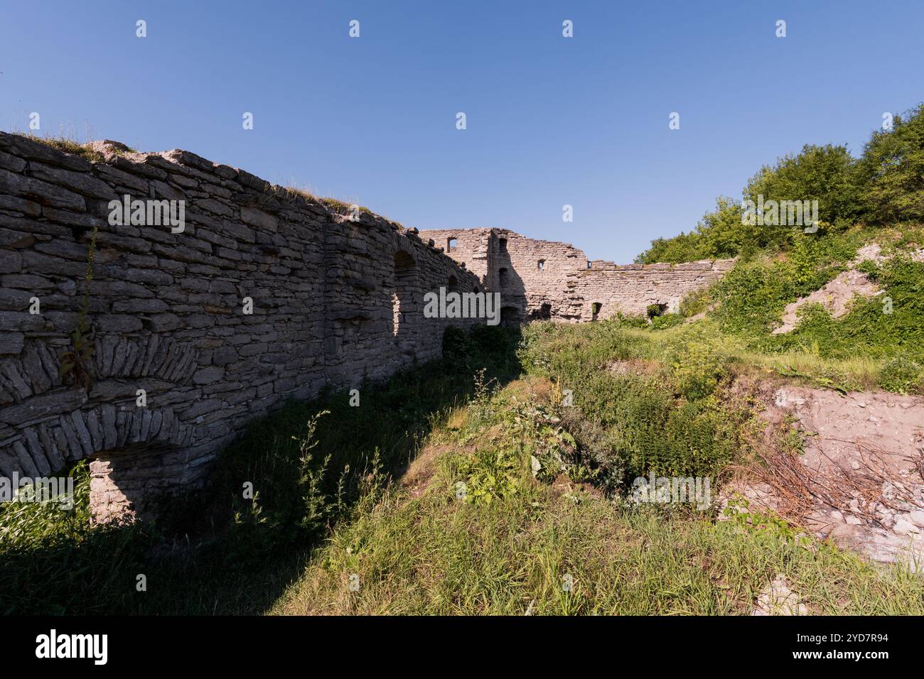 Ancient Stone Ruins Surrounded by Lush Vegetation Under a Clear Blue ...