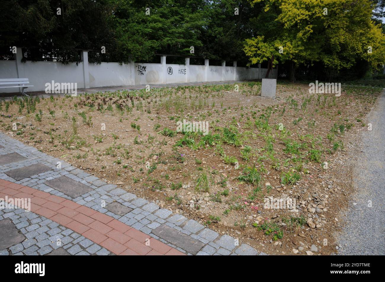 Staudenbeet nach Pflanzung, herb bed after planting Stock Photo