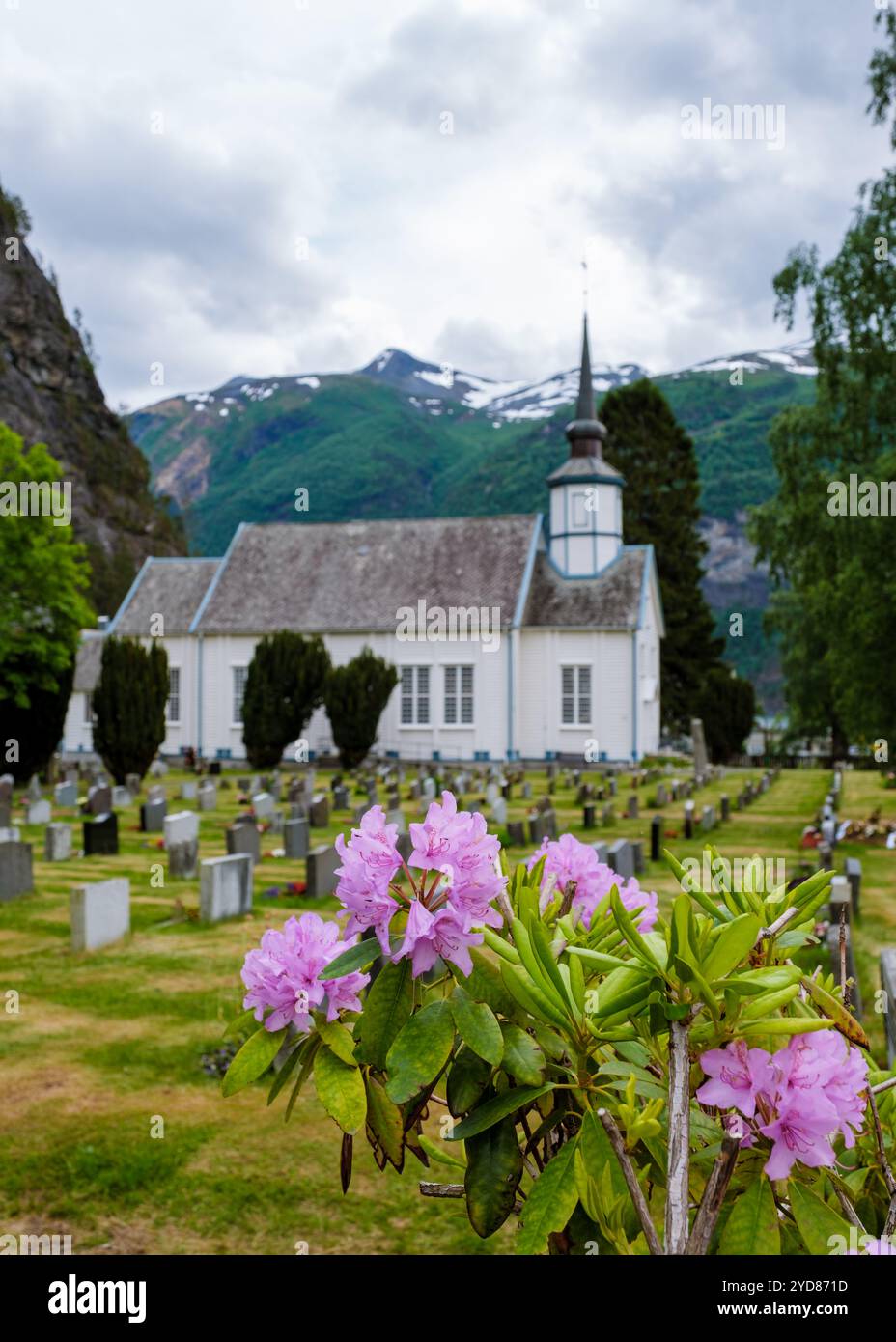 Picture of Norwegian Churchyard Blooms in Spring Valldal Norway Stock Photo - Alamy