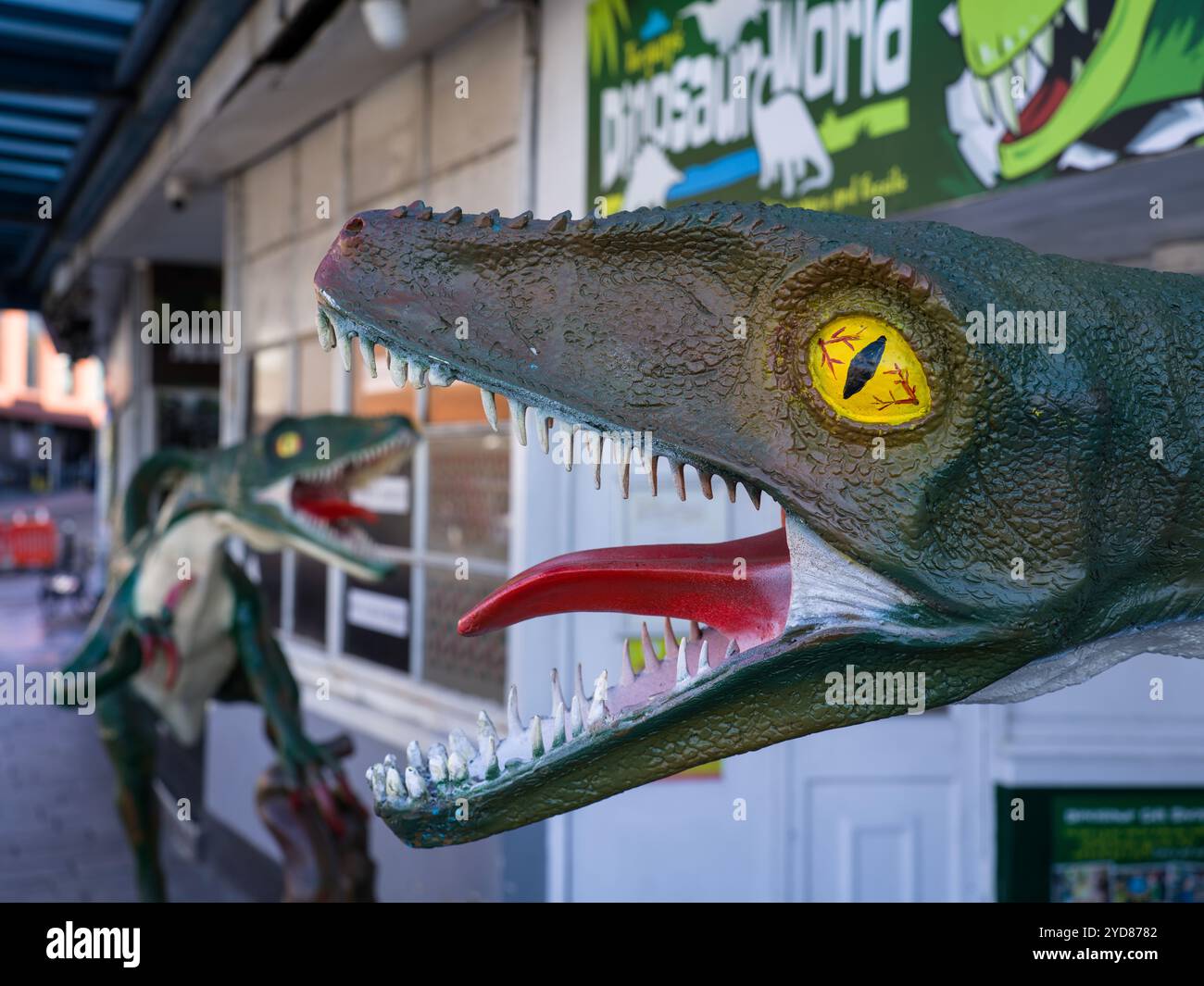 Torquay Raptor Statue Velociraptor MODELS IN FRONT OF THE DINOSAUR MUSEUM TORQUAY TORBAY ...