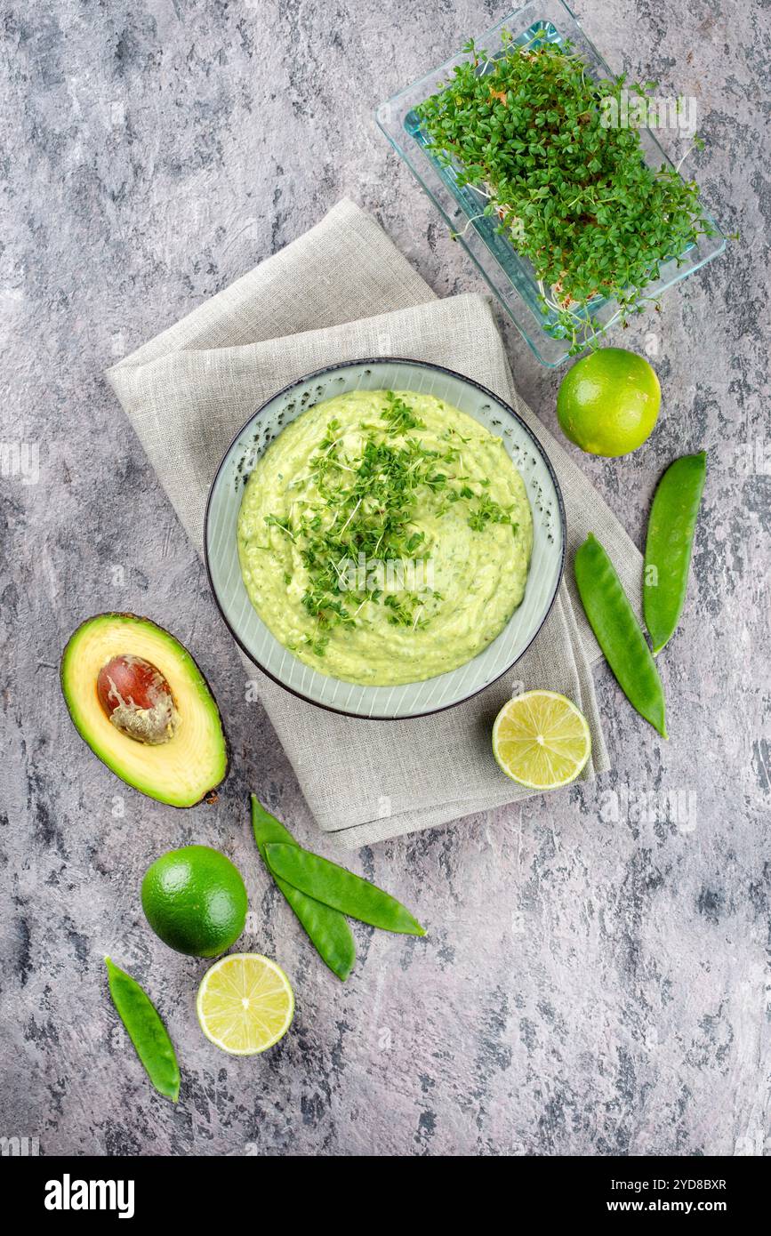 Spring Dip Traditional exotic spring dip with avocado and roasted vegetables ...