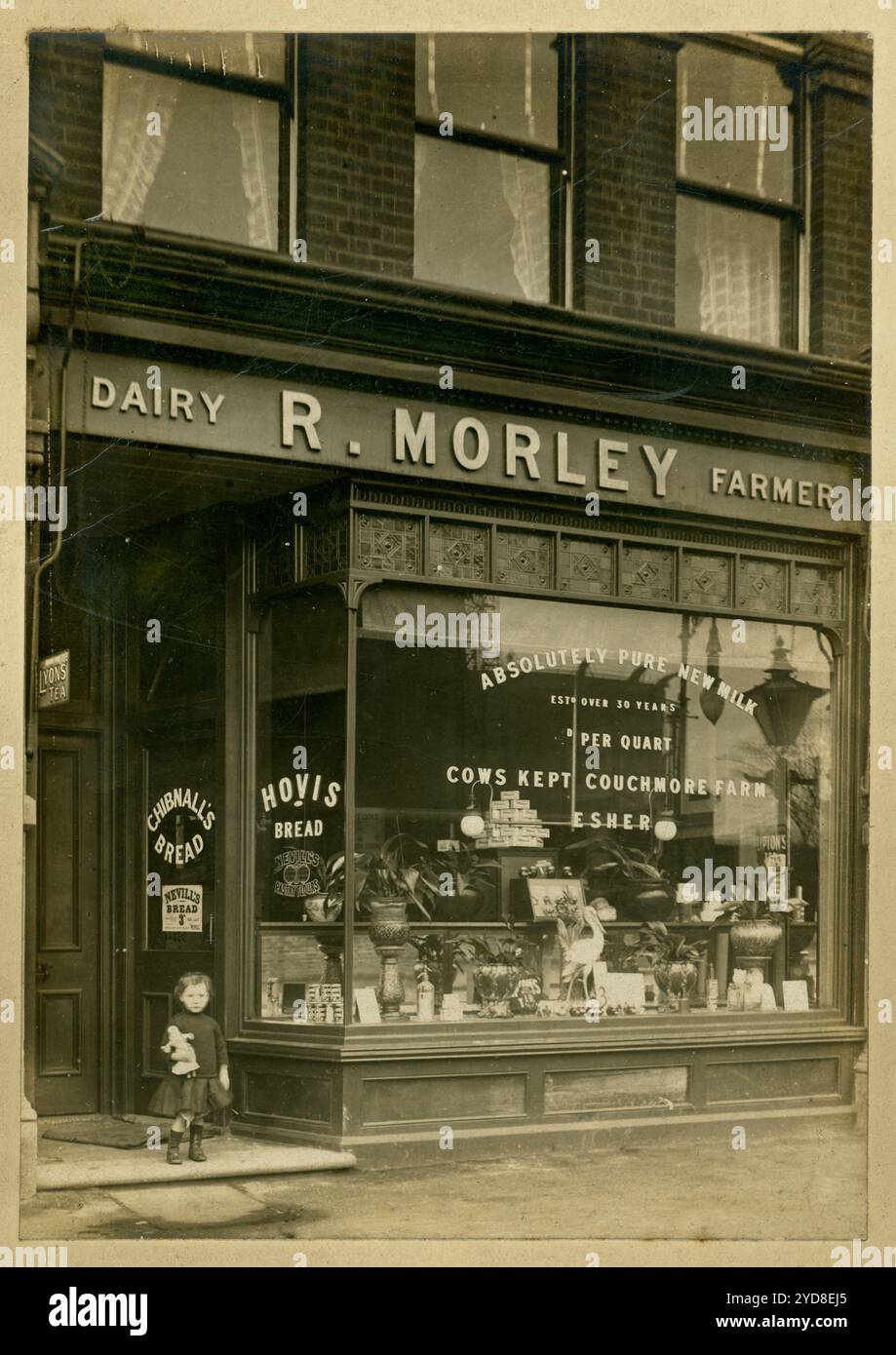 WW1 era small girl standing outside in a shop doorway. R Morley, Dairy Farmer is the shop's sign. The dairy shop premises were on the Richmond Road, Kingston, Surrey. The show window sign reads Cows kept Couchmore farm, Esher. Sells Lipton tea, Chibnalls and Hovis bread, butter.  Circa 1913, U.K. Stock Photo