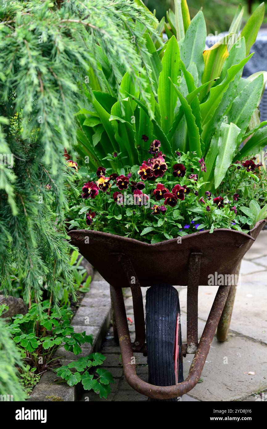 Wheelbarrow with floral display hi-res stock photography and images - Alamy