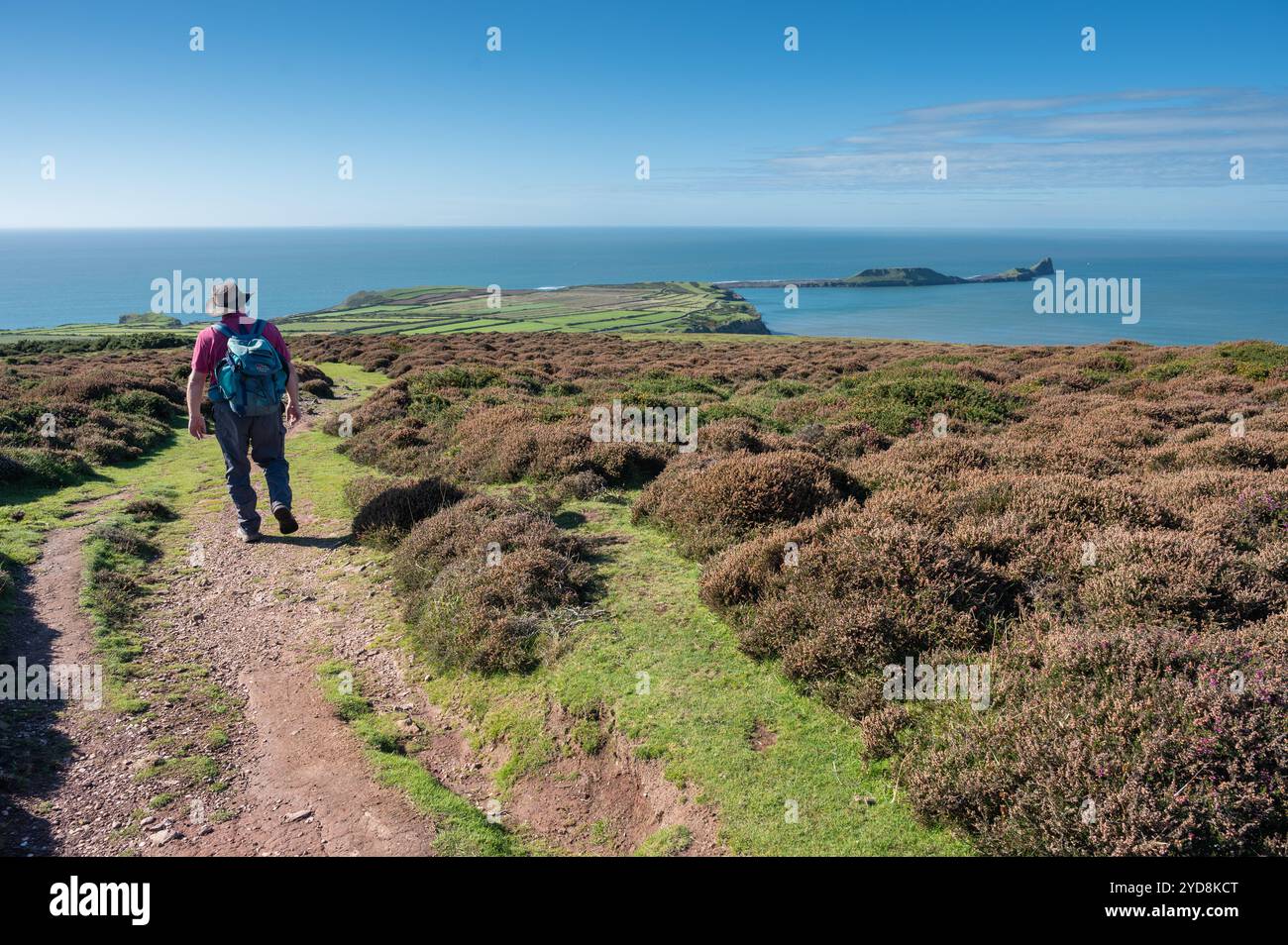 Man waling path from tThe Beacon with view of Rhossili and Worms Head ...