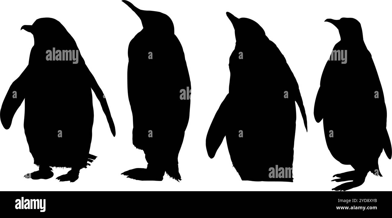 Set Of Penguin Silhouettes Vector Illustration Stock Vector Image set-of-penguin-silhouettes-vector-illustration-stock-vector-image