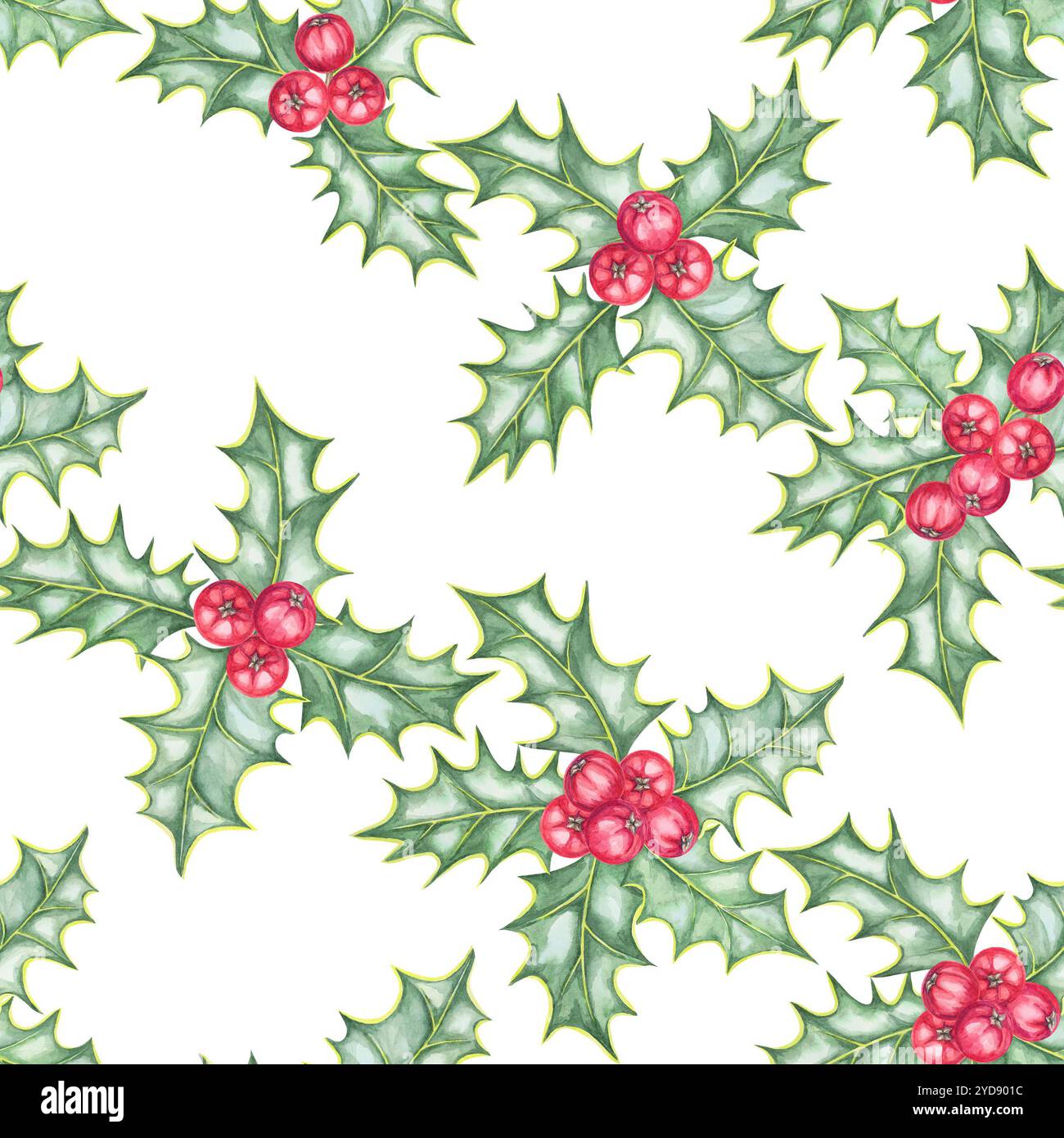 Holly leaves and red berries illustrated in a seamless watercolor ...