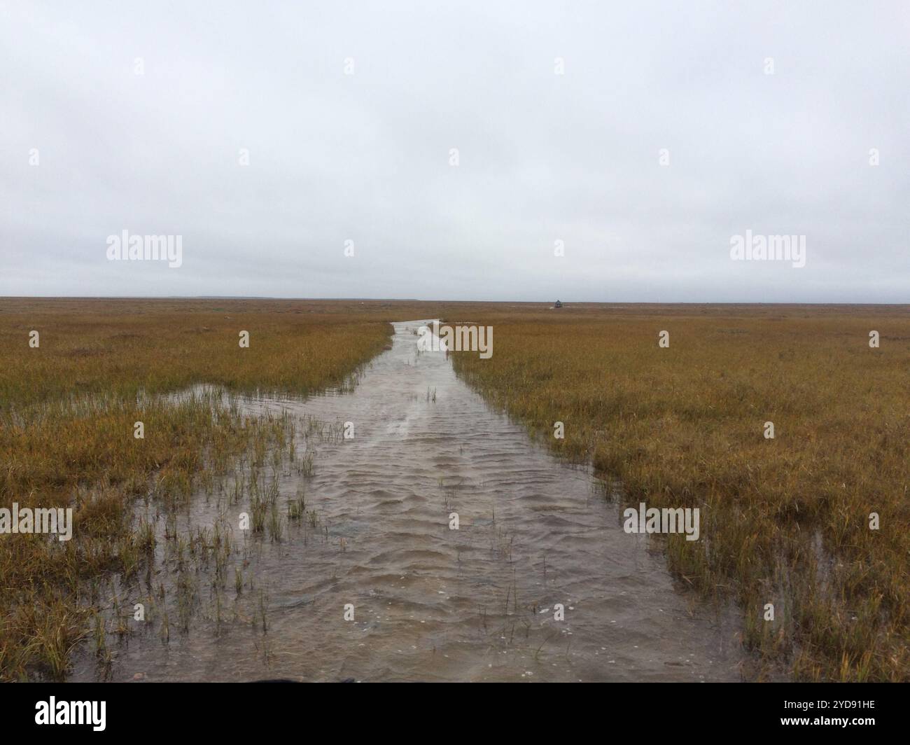 Wet, dreary and flat landscape in fall colours with a stream flowing ...
