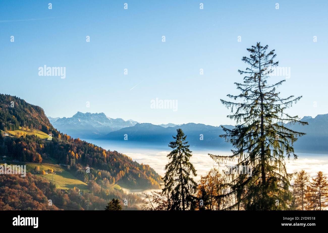 Swiss alps during golden hour hi-res stock photography and images - Alamy