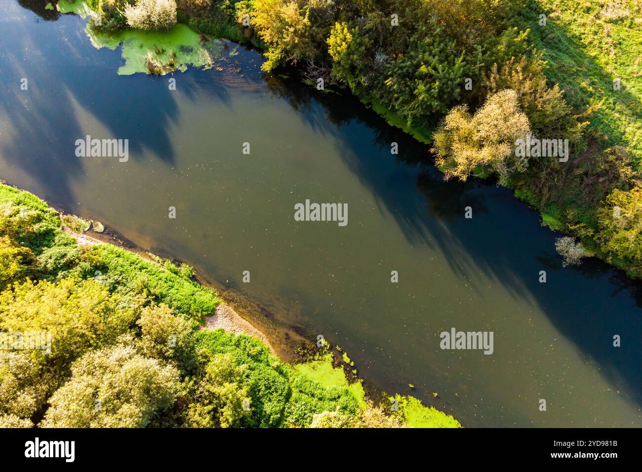 Top view overgrown river hi-res stock photography and images - Alamy