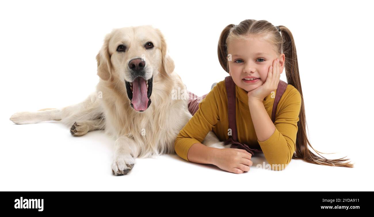 Girl with her cute Golden Retriever dog lying on white background Stock ...
