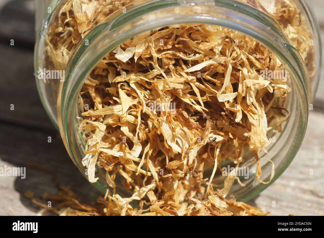 Hypericum perforatum, St. Johns wort Stock Photo