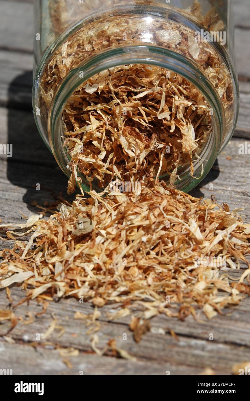 Hypericum perforatum, St. Johns wort Stock Photo