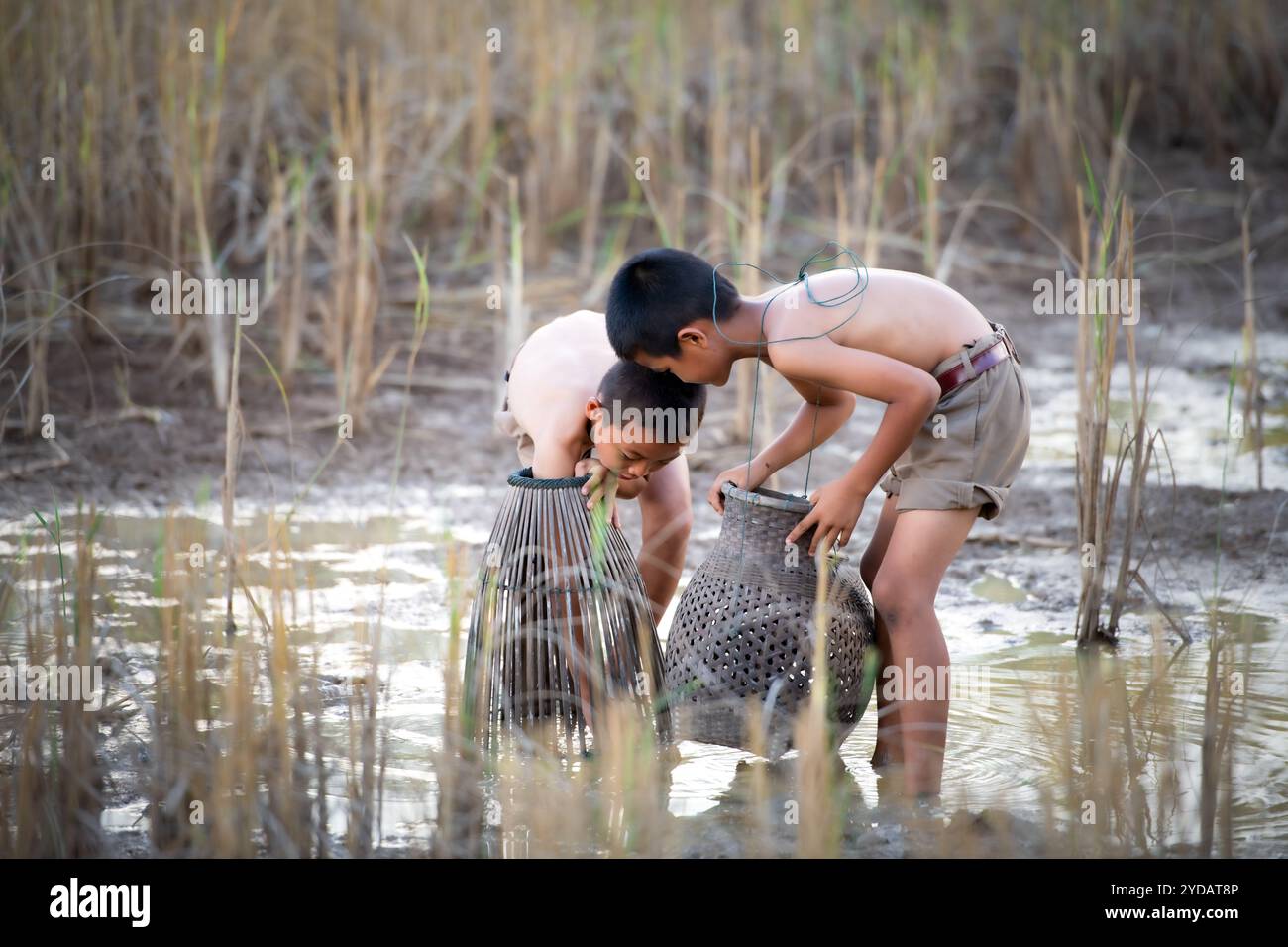 After class, little boys in rural Thailand like catching fish in the ...