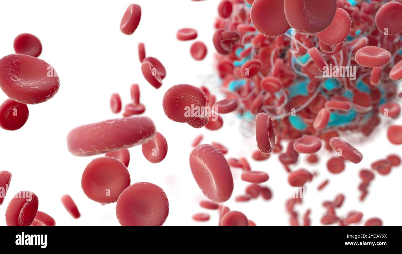 Live Human Rbc Illustration of clotted human red blood cells Stock Photo - Alamy