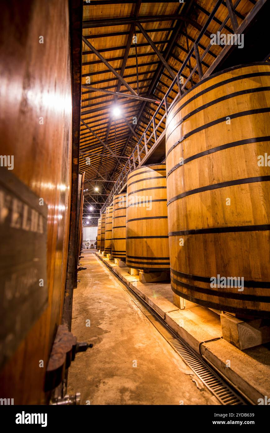 Oak vats and barrels The Real Companhia Velha winery and cellars, Gaia, Porto, Portugal. Stock Photo
