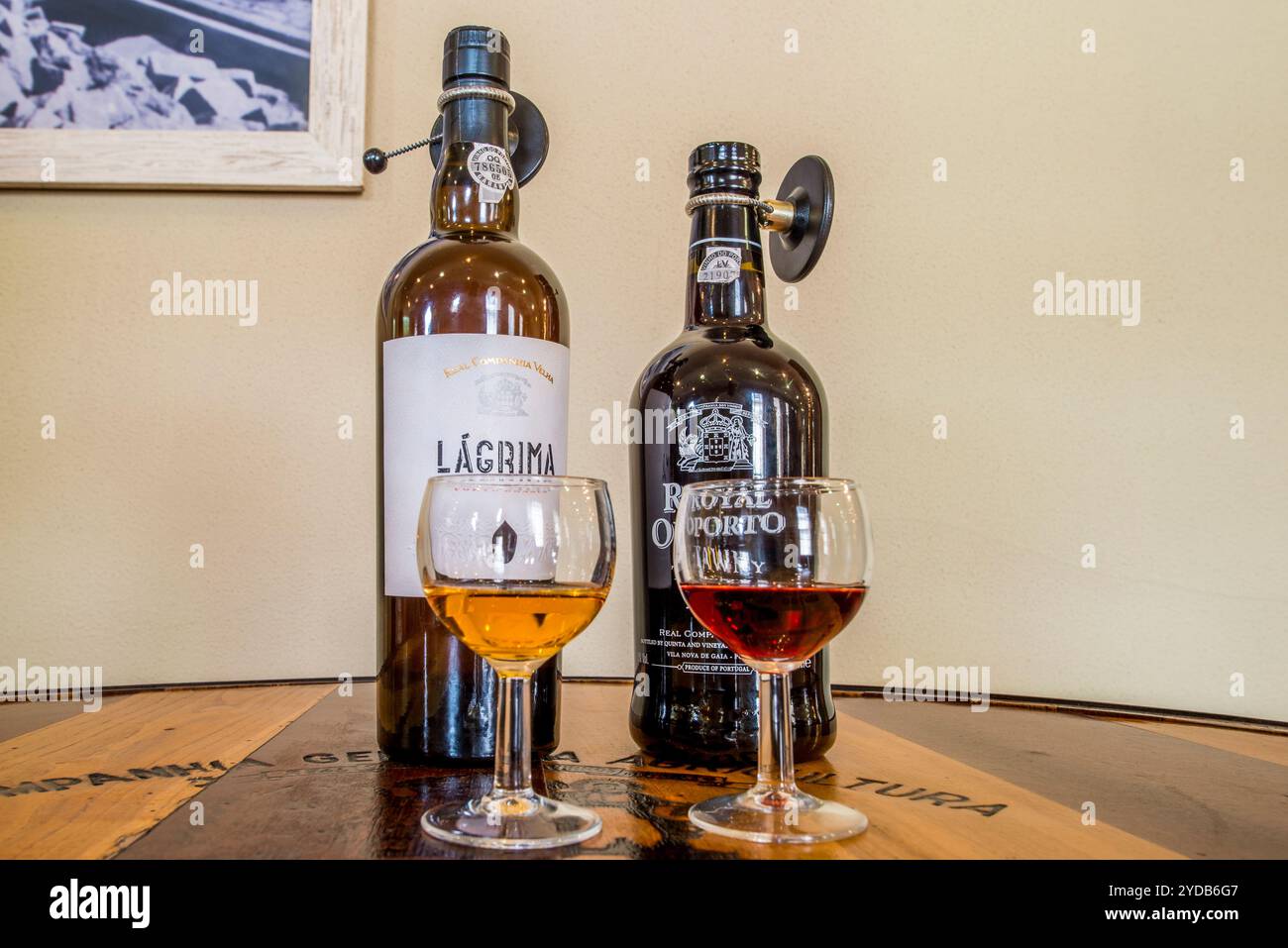 Wine tasting at the Real Companhia Velha winery and cellars, Gaia, Porto, Portugal. Stock Photo
